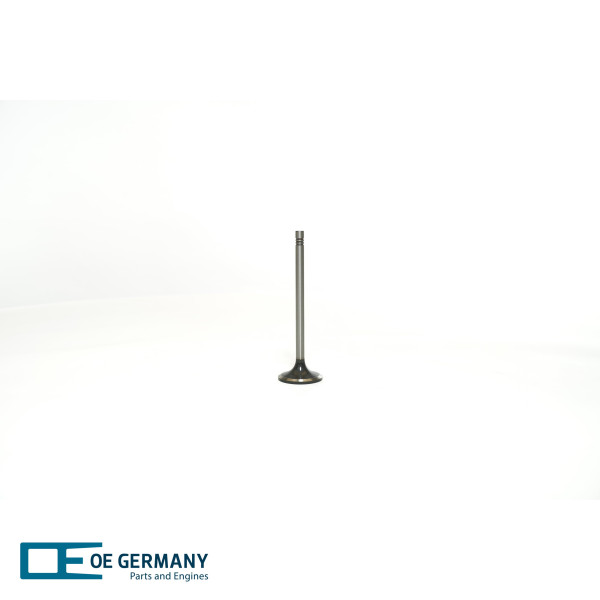 Sací ventil - 040520201600 OE Germany - 12344090, 12344649